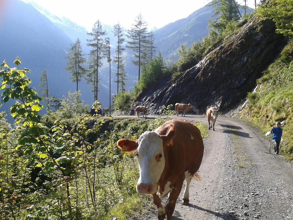 Hotel Feriendorf Ponyhof Fusch an der Grossglocknerstrasse Esterno foto