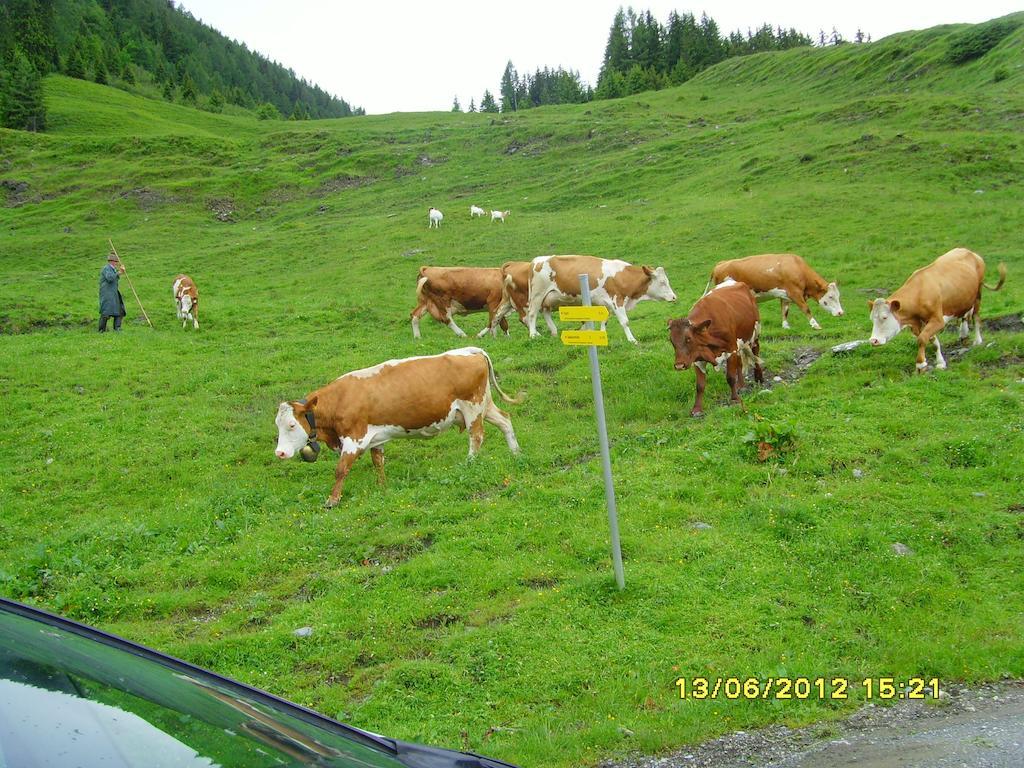 Hotel Feriendorf Ponyhof Fusch an der Grossglocknerstrasse Esterno foto